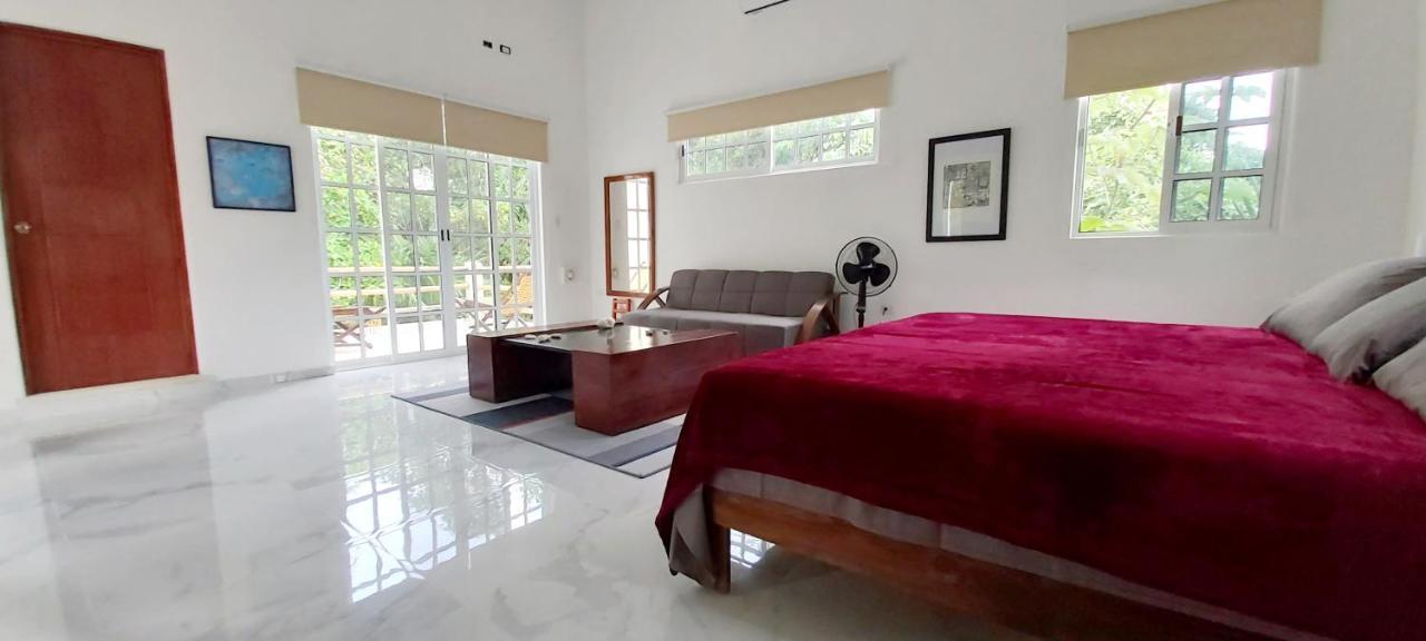 New! Casa Xola Cenote And Fauna Loft Cozumel Extérieur photo