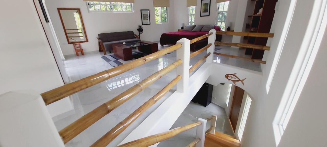 New! Casa Xola Cenote And Fauna Loft Cozumel Extérieur photo